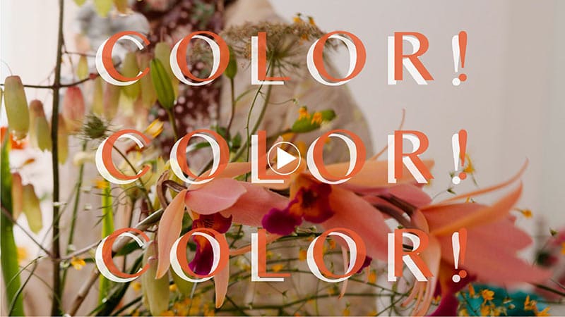 color_color_color